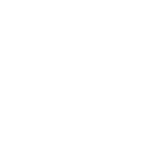 kidney icon