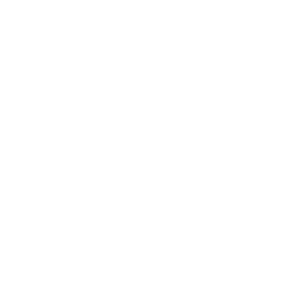 pancreas icon